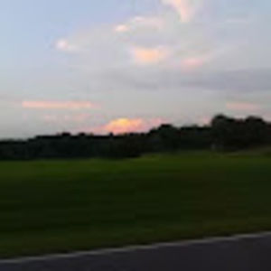 Meet your Posher, Phillip